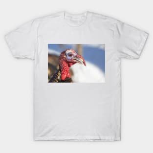 Wild Turkey T-Shirt